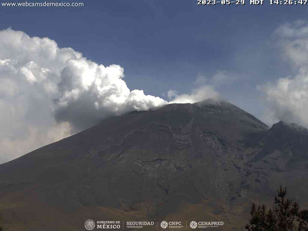 Popocatépetl retoma su ritmo y registra 119 exhalaciones en 24 horas