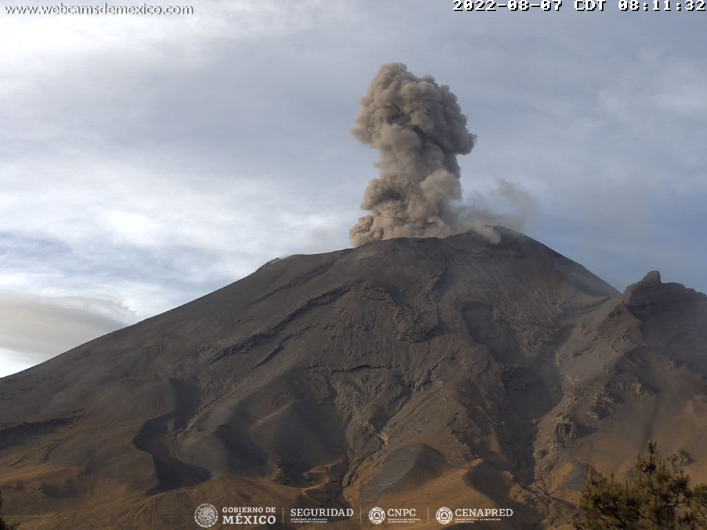 Popocatépetl sigue muy activo y registra 49 exhalaciones en 24 horas