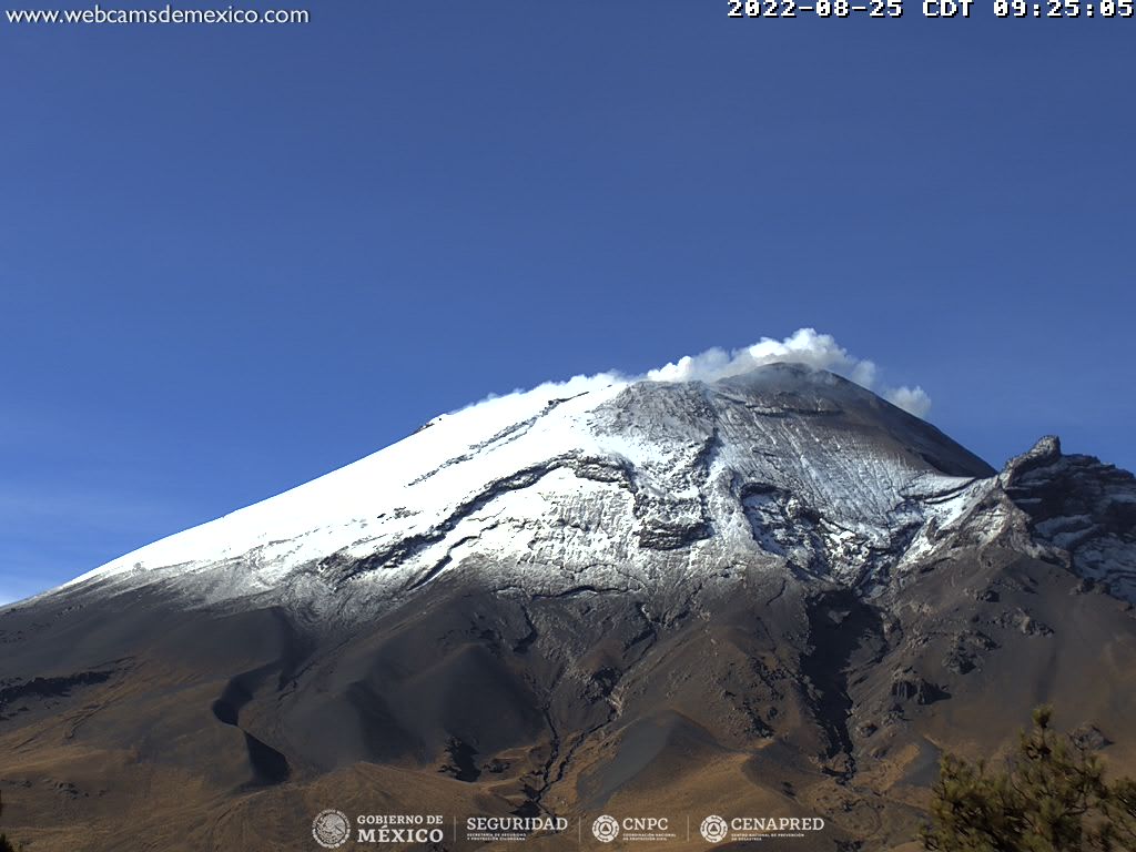 Popocatépetl registra 15 exhalaciones y 29 minutos de tremor