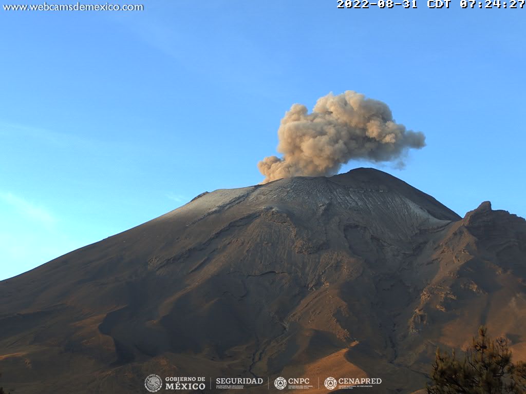 Popocatépetl amanece con sismo y 50 exhalaciones en 24 horas
