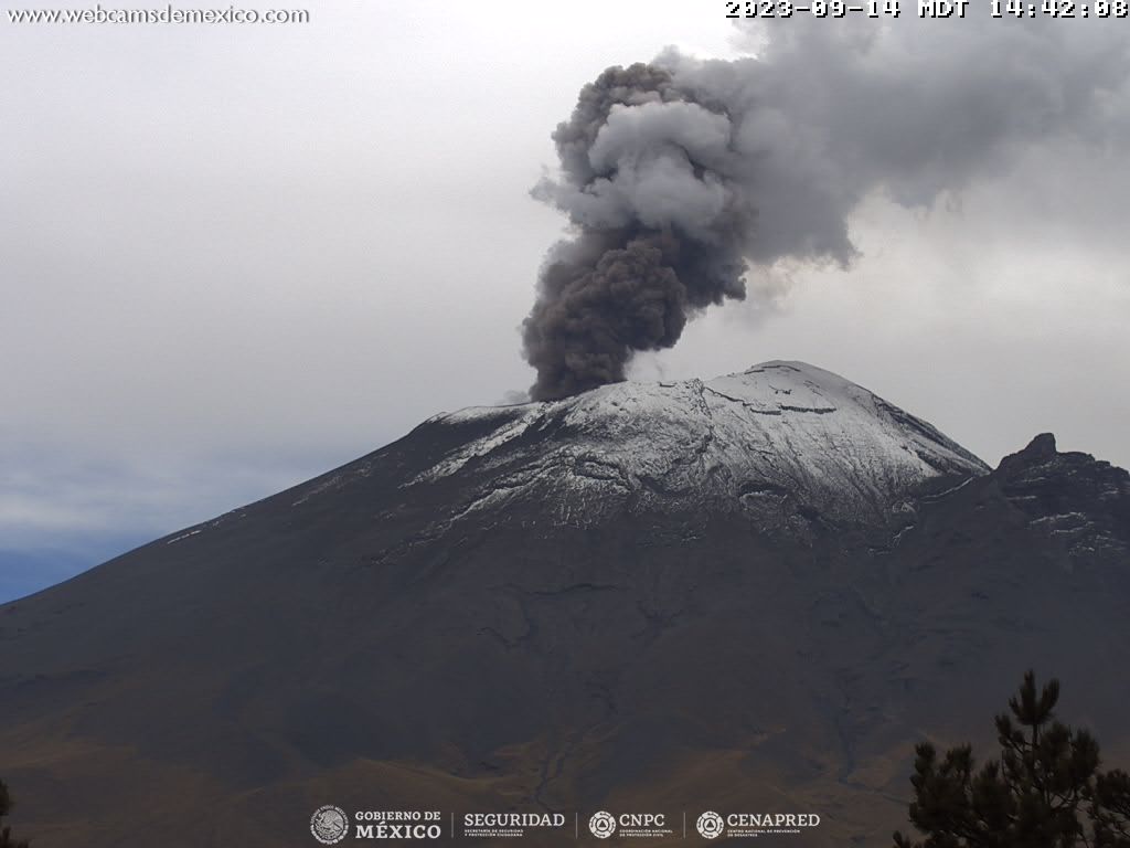 Popocatépetl registra 28 exhalaciones y ceniza llega a Morelos
