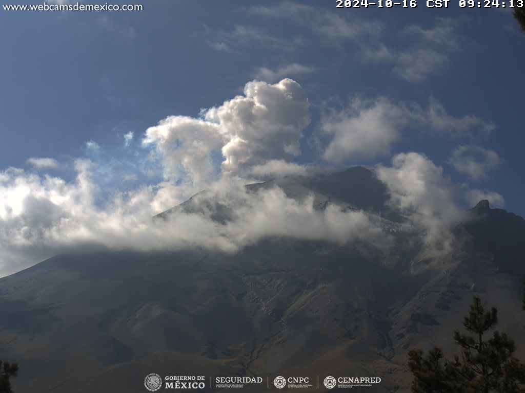 Popocatépetl está dormido; registra 9 exhalaciones en 24 horas