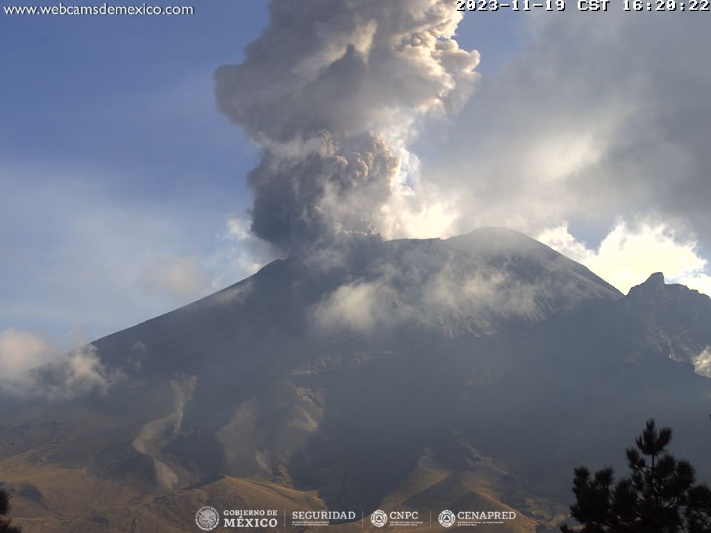 Popocatépetl retoma el paso con 113 exhalaciones en 24 horas