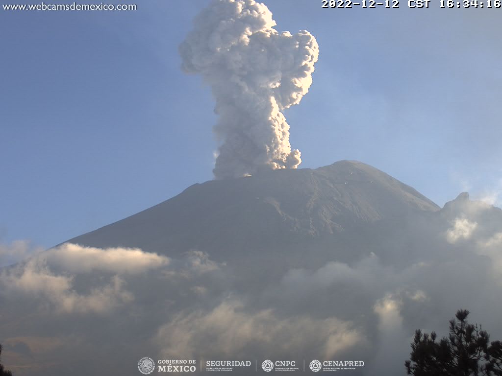 Popocatépetl registra 99 exhalaciones y 295 minutos de tremor