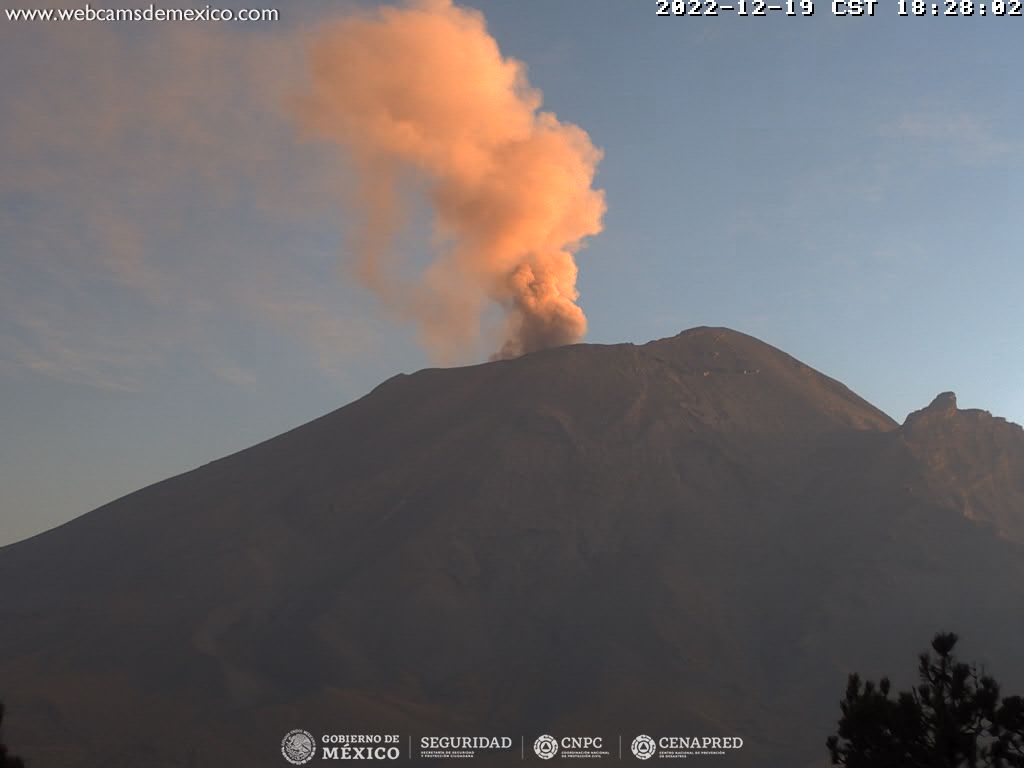 Popocatépetl registra 159 exhalaciones en 24 horas