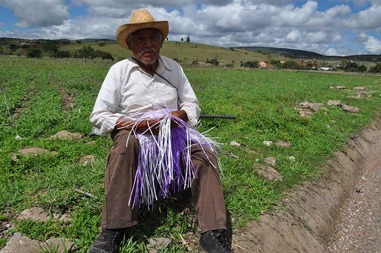 Sombrero de palma, una artesanía que está a punto de morir