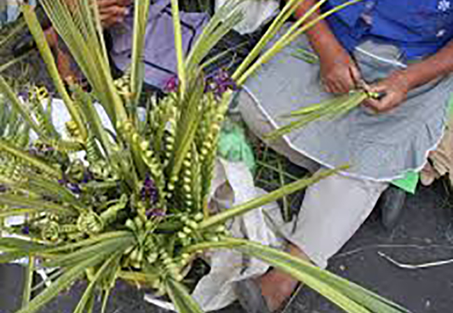 Este Domingo de Ramos, bajas ventas reportan vendedores de palma en Izúcar