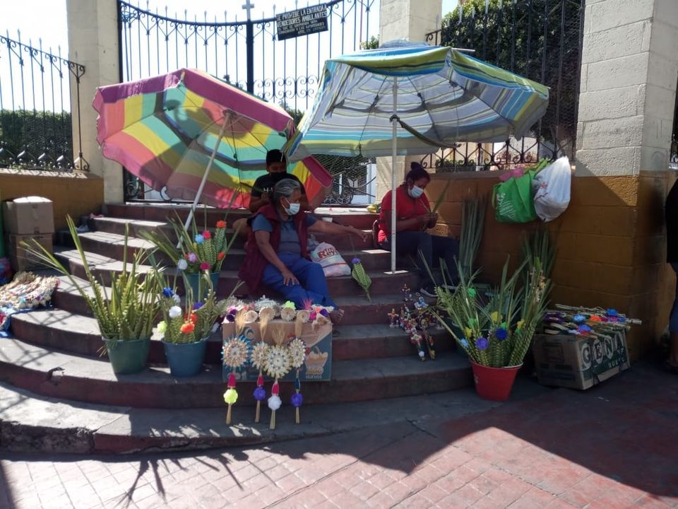 Sigue a la baja la venta de palmas en Izúcar  