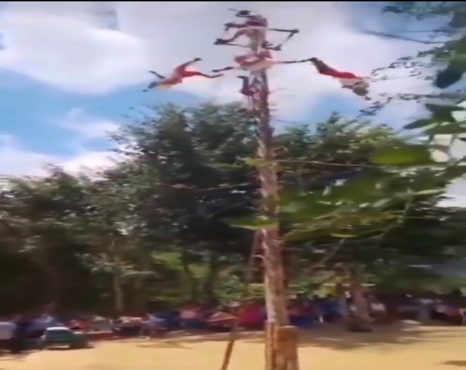 VIDEO Voladores de Papantla caen de más de 10 metros de altura