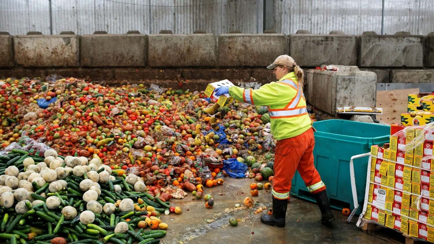 Papa Francisco: el desperdicio de alimentos en el mundo es un escándalo