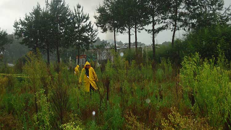 Explota polvorín en Xiutetelco; al menos dos personas muertas