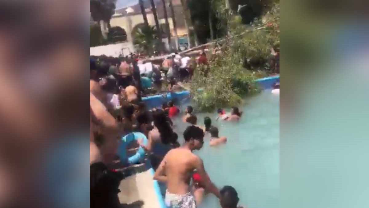VIDEO Árbol cae sobre familias que disfrutaban en balneario este Viernes Santo