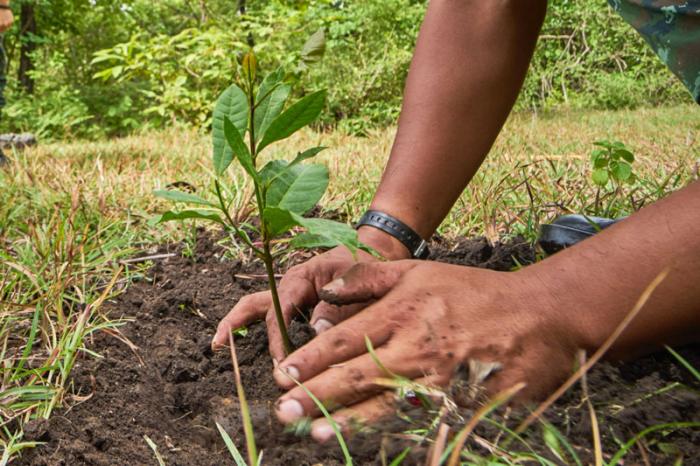 Más de 300 funcionarios siembran árboles en San Andrés Cholula