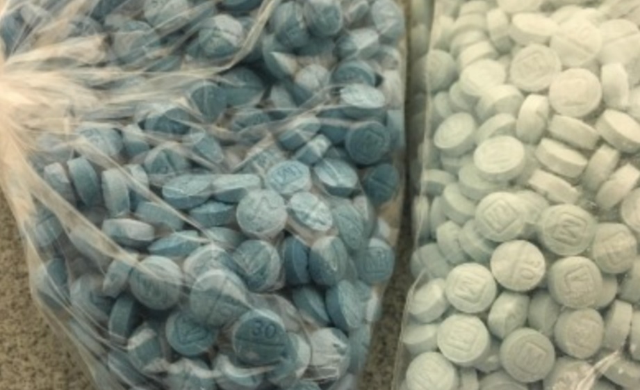 Aseguran más de 500 mil pastillas de fentanilo en Sinaloa