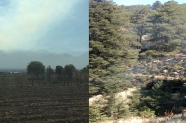 Conafor combate fuego en pastizales del Pico de Orizaba