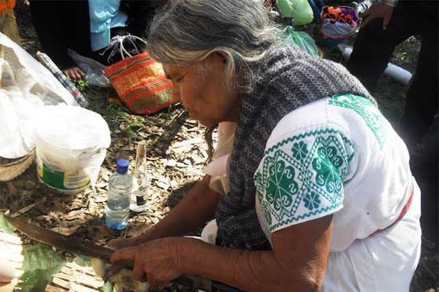 Proyectos extractivos arriesgan patrimonio indígena en Puebla