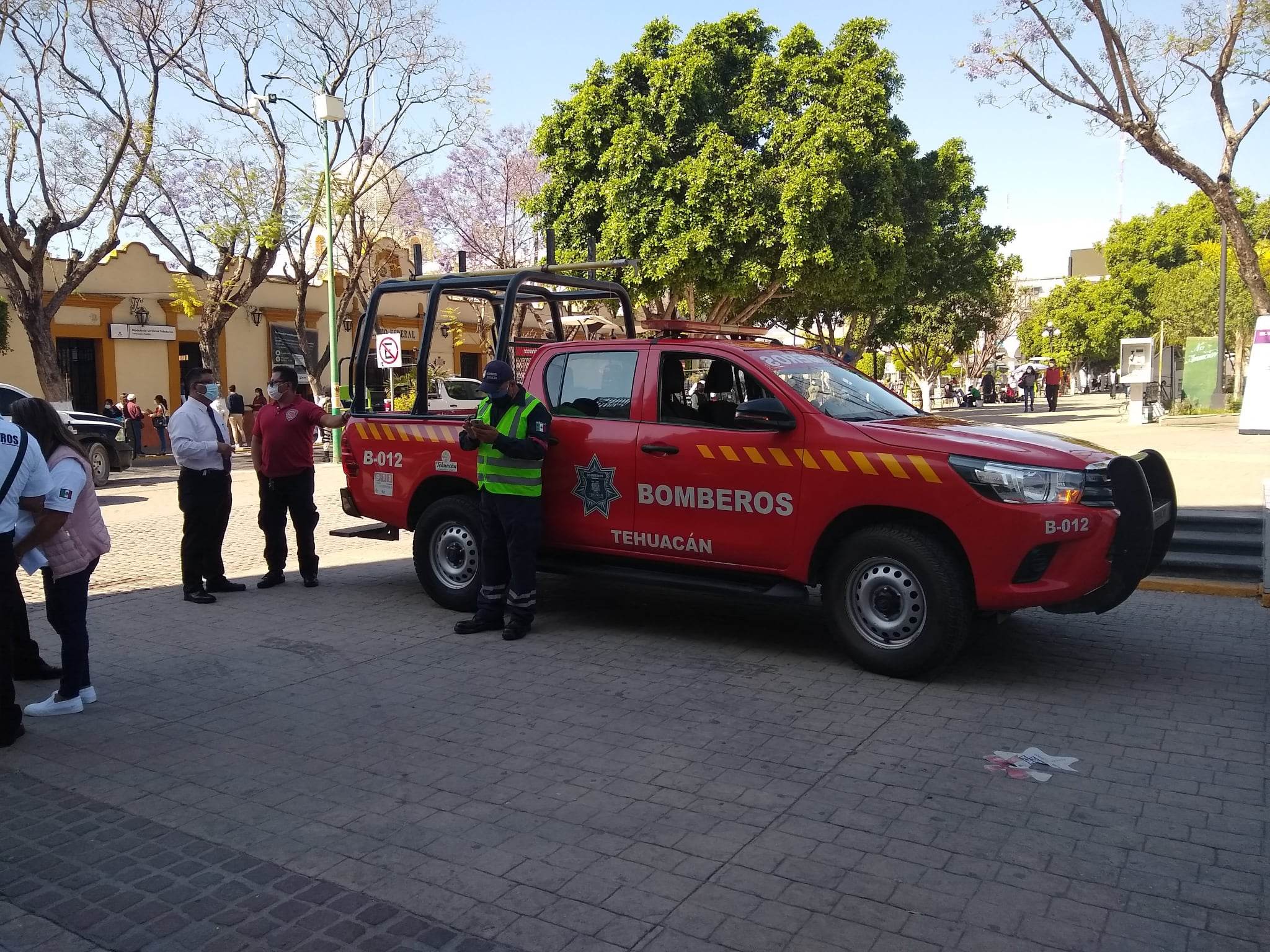 Hasta 20 reportes al mes por presencia de abejas en Tehuacán