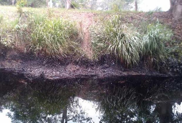 Aparece importante cantidad de peces muertos en la laguna de  San Juan Epatlan