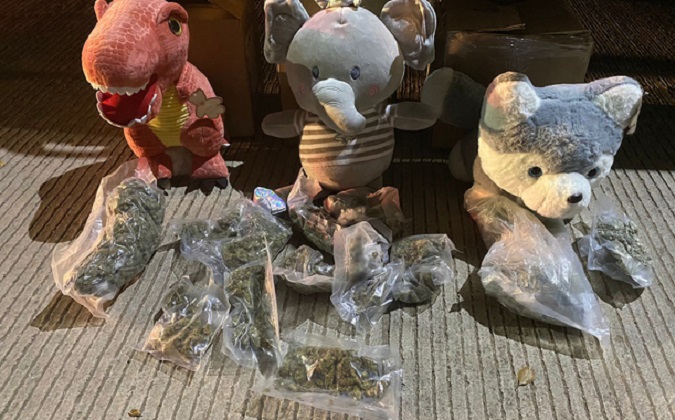 Qué tal: tiernos peluches ocultaban bolsas con marihuana