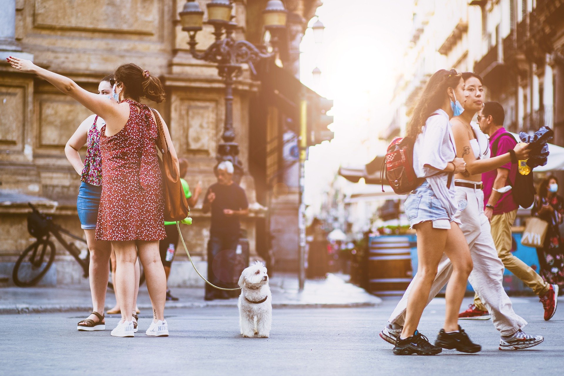 Propone Kuri que Puebla sea el primer estado Pet Friendly