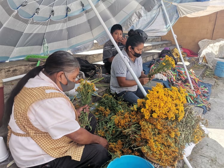 Se incrementa el costo de la flor de pericón en Izúcar