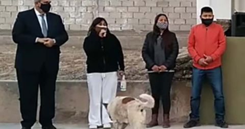 VIDEO Perrito orina pierna de alcaldesa en evento