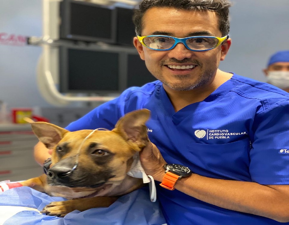 Médico poblano realiza primera valvuloplastia canina en México y AL