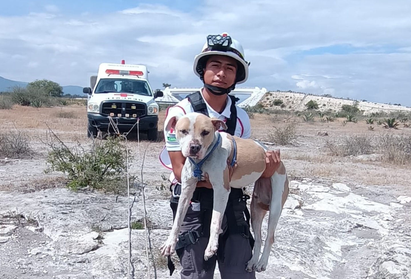 Rescatan perrita que cayó a barranco de 46 metros en Tehuacán