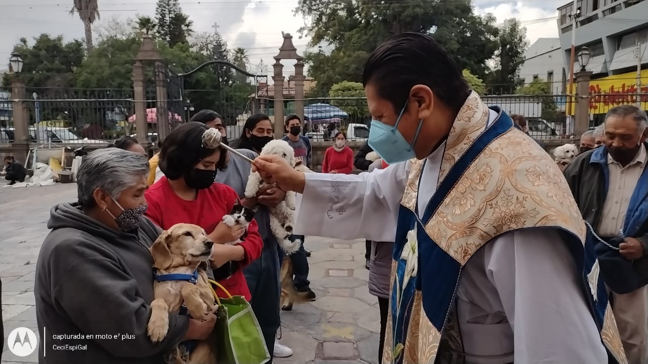 Conmemoran a San Antonio Abad con bendición de mascotas en Texmelucan