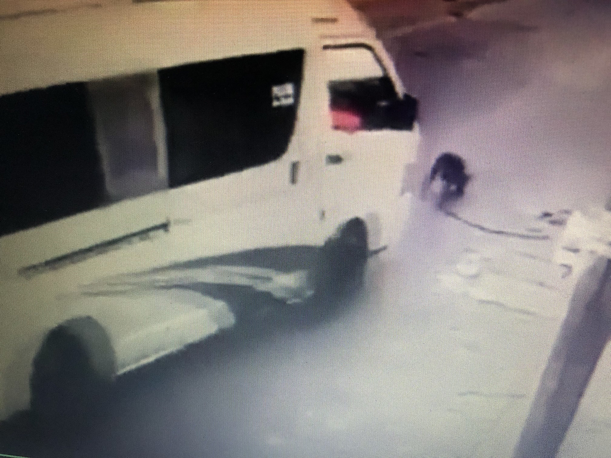 Chofer de combi atropella a perro, ya lo buscan en Altepexi