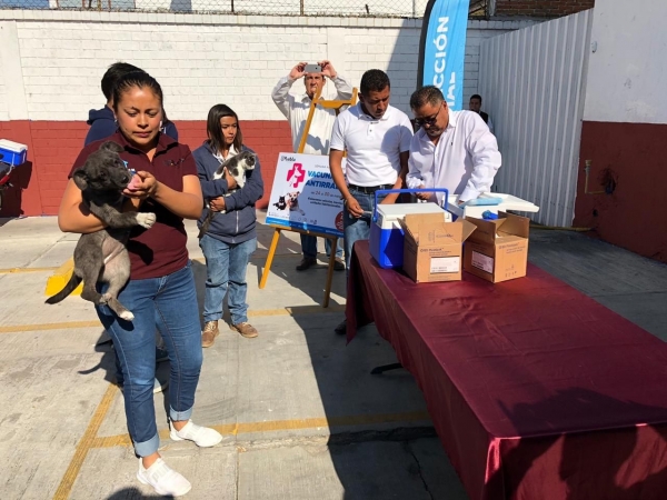 Inicia Semana de Vacunación antirrábica para perros y gatos