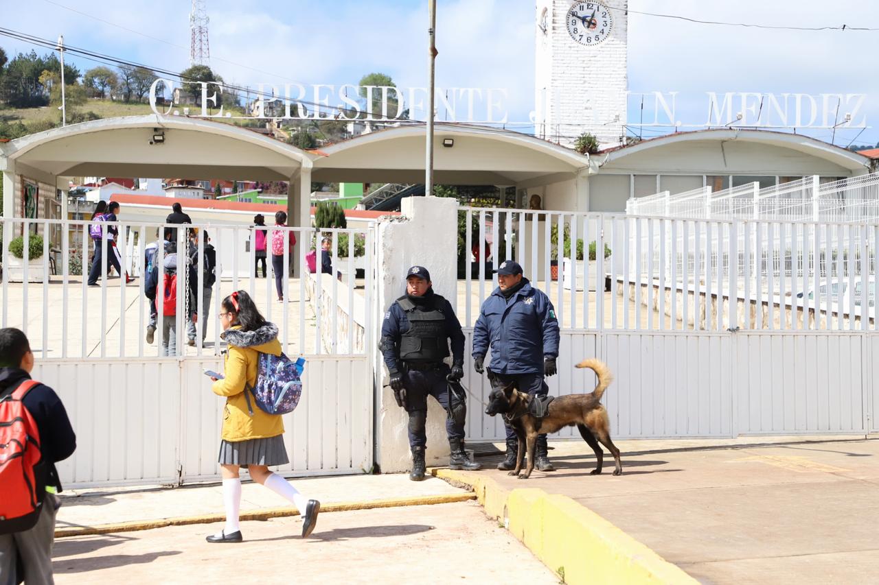 Perros policías detectan armas, drogas y explosivos en escuelas de Zacatlán