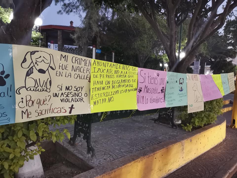 Protestan contra funcionamiento del Centro de Atención Canina en Izúcar