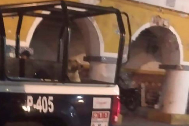 Policía de Izúcar levanta perros y los abandona en otros puntos