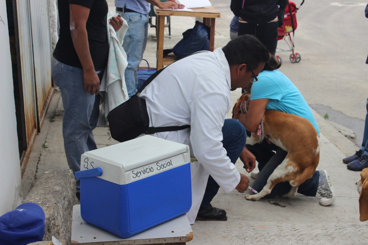 Casa por casa aplican vacuna antirrábica en Puebla capital