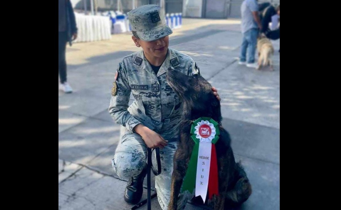 Jubilan a 34 perros de servicio de la Guardia Nacional
