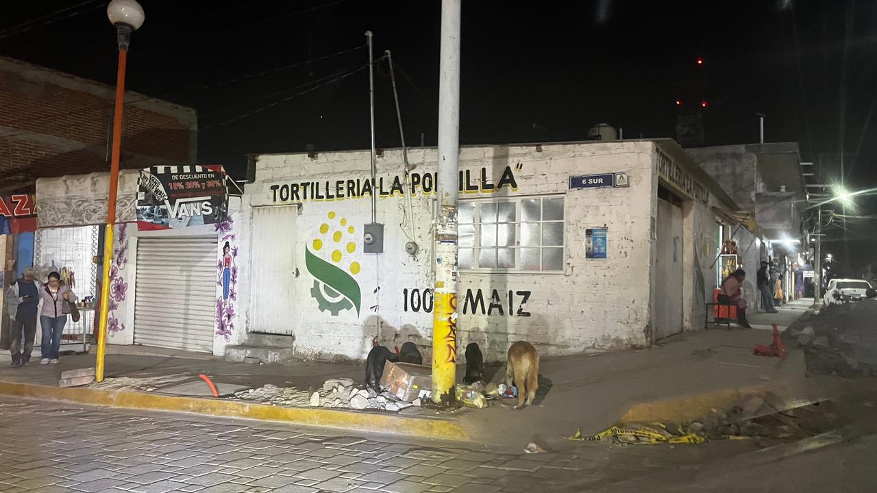 Piden a niños no jugar con perros callejeros para prevenir rabia en Tecamachalco