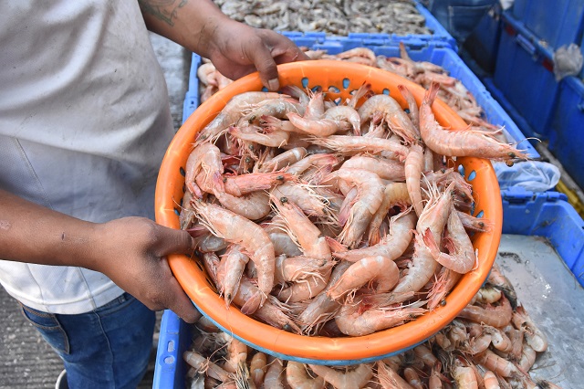 Inicia Secretaría de Salud revisiones en mercados y pescaderías por Semana Santa