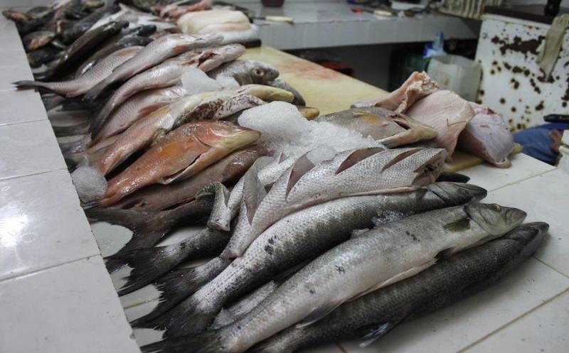 Pandemia afecta venta de mariscos en Izúcar 