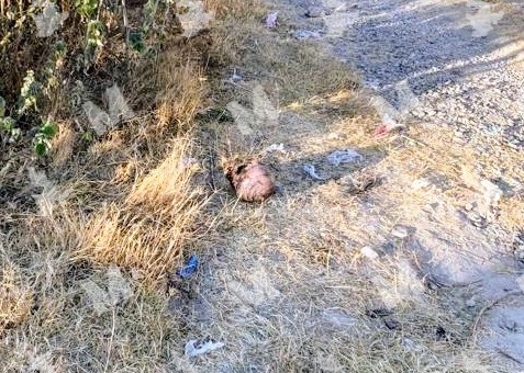 Hallan cráneo humano en barranca de Puebla