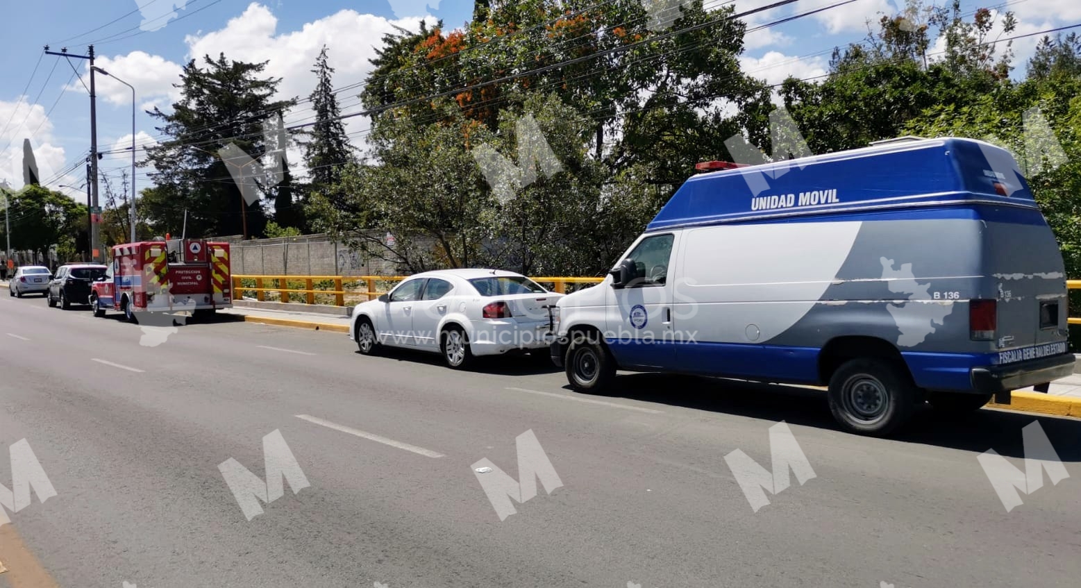 Se cuelga de un árbol en inmediaciones a la prepa Calderón de la BUAP