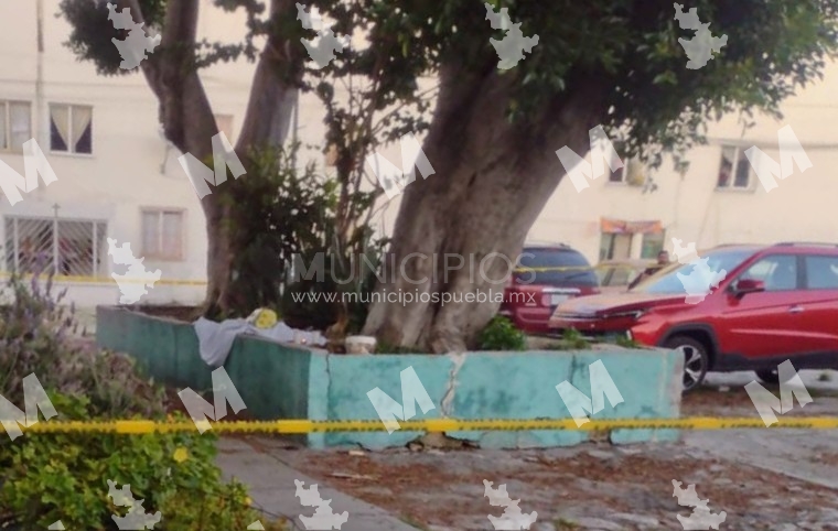 Joven adicto a drogas murió en jardinera de La Margarita