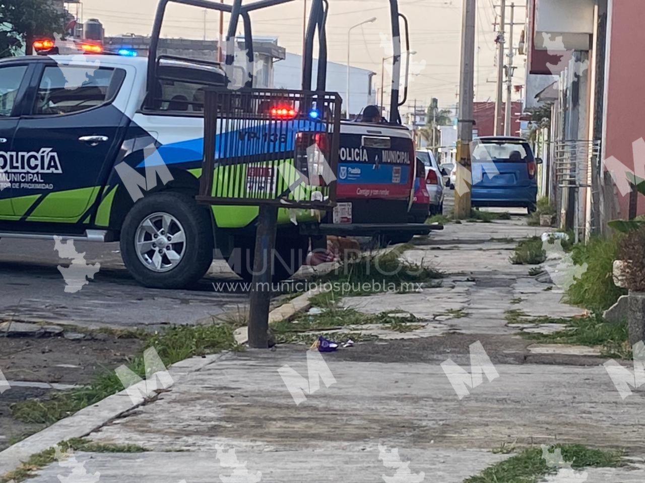 Perro fiel acompaña hasta la muerte a su dueño en calles de Puebla