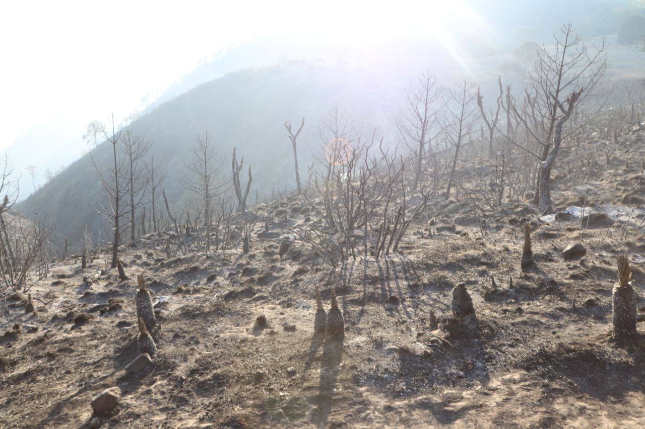 Incendio forestal en Libres, controlado al 80%