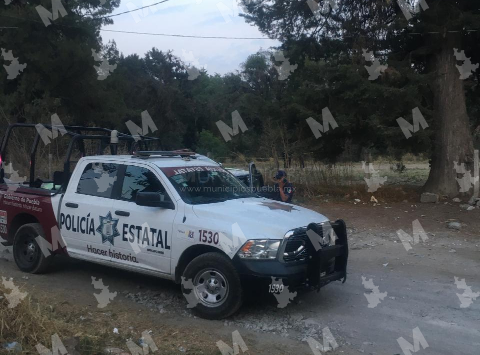 Hallan pierna humana en Bosques de Santa Anita; un perro la llevaba en el hocico