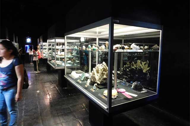 Seleccionan piezas que se exhibirán en área de Mineralogía del Museo de la Evolución