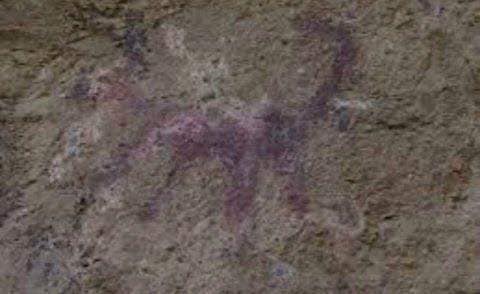 Solicitan que se reconozcan pinturas rupestres de Tehuitzingo