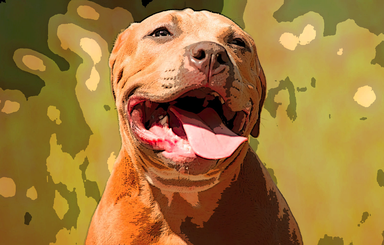 Pitbull ataca a menor de edad en Loma Bella, Puebla