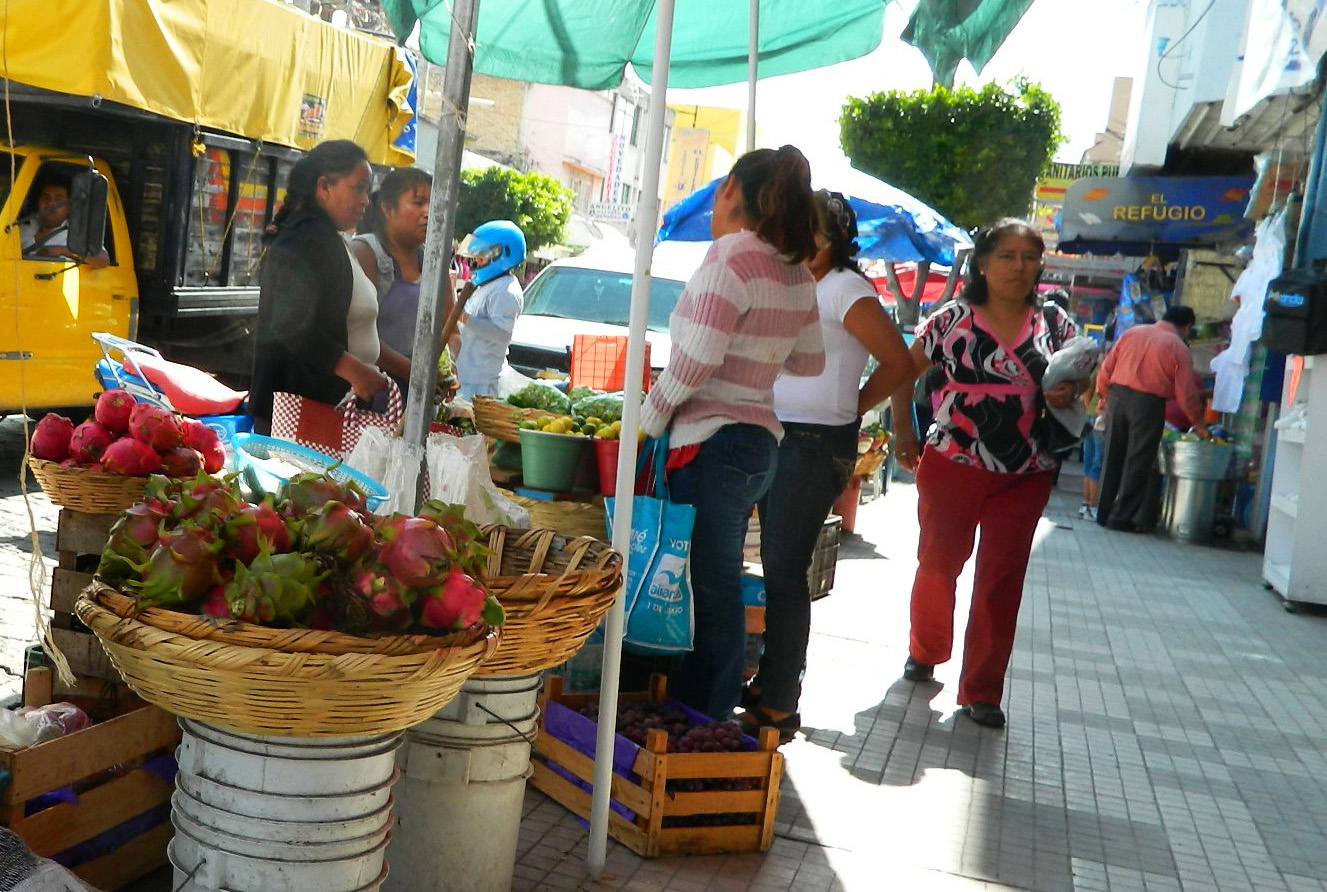 Baja producción de Pitahaya en Tehuacán