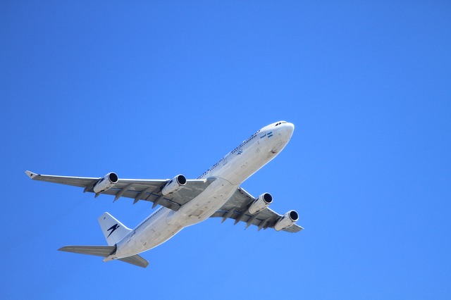 En pleno vuelo, joven abre puerta de avión y se avienta